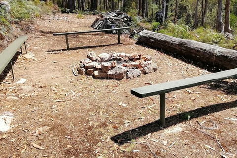 Minnow Cabins - QLD Tourism 5