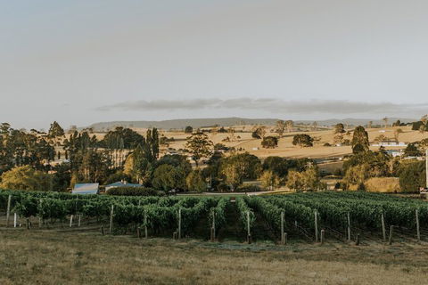 The Cottage At 3 Willows Vineyard - Queensland Tourism 7