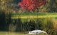 The Cottage At 3 Willows Vineyard - thumb 5