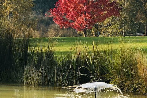 The Cottage At 3 Willows Vineyard - Queensland Tourism 5