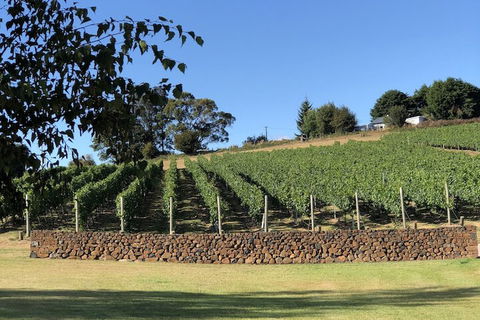 The Cottage At 3 Willows Vineyard - Queensland Tourism 6