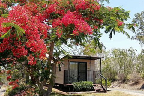 Mt Larcom Tourist Park - QLD Tourism 0