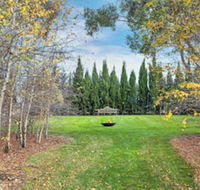 Orchards at Spring Vale Farm - Queensland Tourism