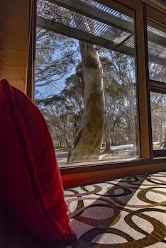 Snowgums 07 - Queensland Tourism 0