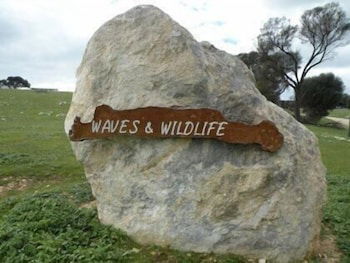 Waves And Wildlife - Queensland Tourism 3