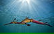 Bayplay Beach Accommodation - 2 Locations - thumb 1