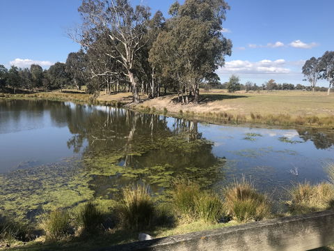 Rivers Apartments & Motel Sale Gippsland - QLD Tourism 0