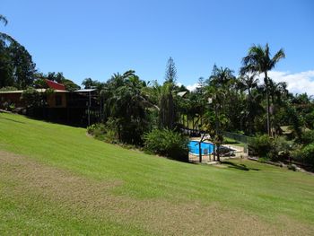11 Korora Palms 1 Bedroom Bure - QLD Tourism 5