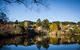 Chestnut Daylesford - thumb 6