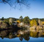 Chestnut Daylesford