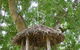 Australian Home Away At Eltham Venn Cottage - thumb 6