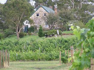 Cranbrook TAS QLD Tourism