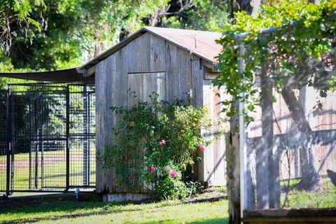 RayfieldsatBerry Kangaroo Valley - QLD Tourism 5