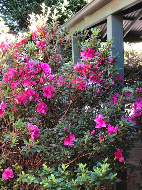 Mandalay House - QLD Tourism 6