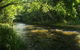 Cairns Homestead Acreage Pet & Family Friendly - thumb 2