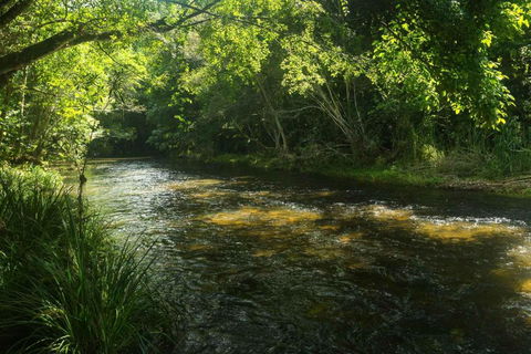 Cairns Homestead Acreage Pet & Family Friendly - QLD Tourism 2