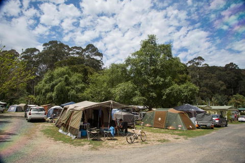Warburton Holiday Park - Queensland Tourism 2