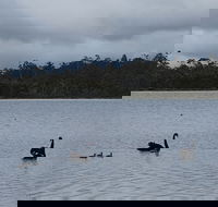 Lake Yalleena Nature Retreat - QLD Tourism