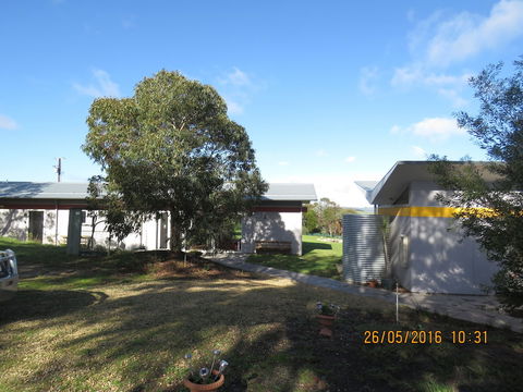 Lush Pastures - QLD Tourism 0