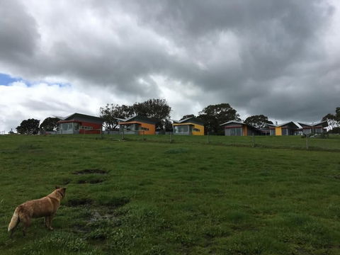 Lush Pastures - QLD Tourism 1