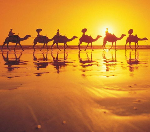Mantra Frangipani Broome - QLD Tourism 1