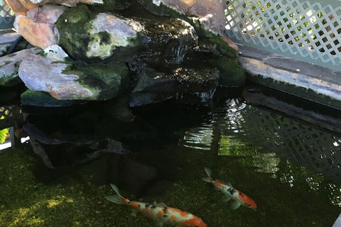 Quality Inn The Willows - QLD Tourism 3