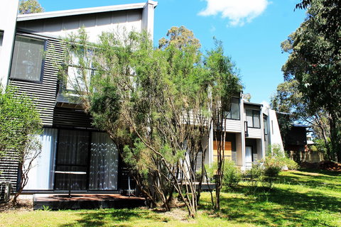 Margarets Forest - QLD Tourism 2