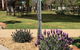 Wine Village Motor Inn - thumb 4