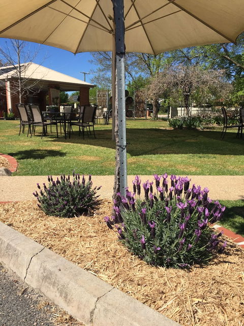 Wine Village Motor Inn - Queensland Tourism 4