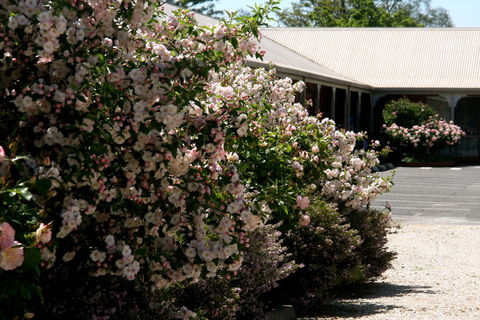 Wine Village Motor Inn - Queensland Tourism 1