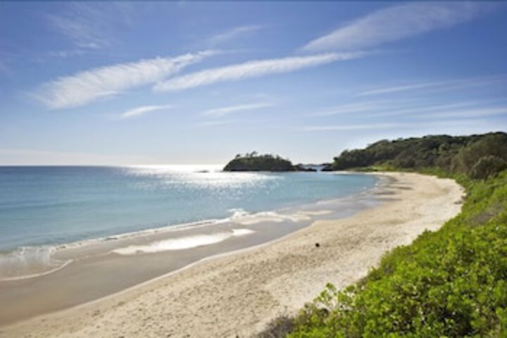 Topi Topi NSW Queensland Tourism