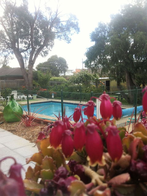 Parkwood Motel And Apartments - QLD Tourism 3