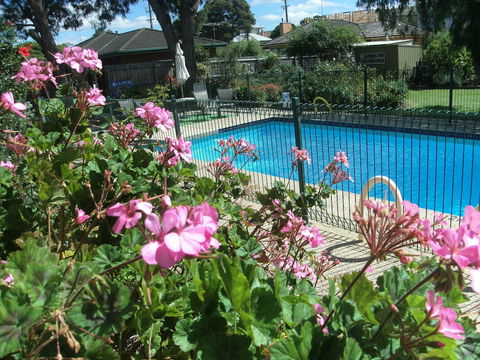 Parkwood Motel And Apartments - QLD Tourism 2