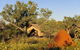 Bungle Bungle Wilderness Lodge - thumb 2