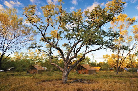 Bungle Bungle Wilderness Lodge - QLD Tourism 5