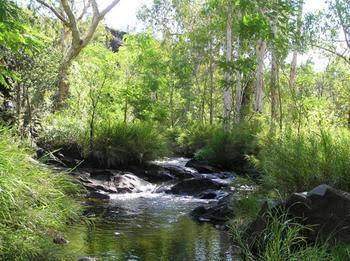 Mt Hart Homestead - Queensland Tourism 4
