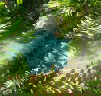 Palm Cove Tropic Apartments - QLD Tourism
