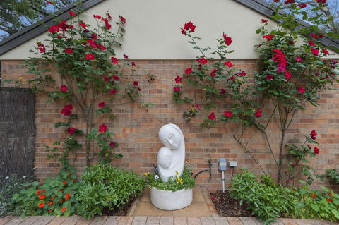 Bungunyah Apartments - Queensland Tourism 2