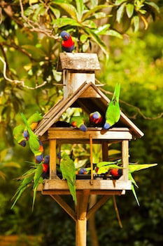 Crystal Brook Tourist Park - Queensland Tourism 0