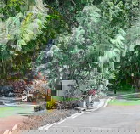 Oasis at Palm Cove - QLD Tourism