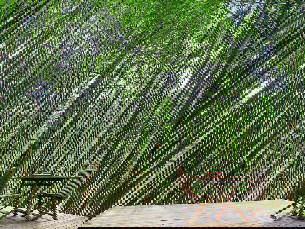 Skinners Shoot NSW QLD Tourism