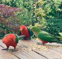 Crimson Villa - Queensland Tourism