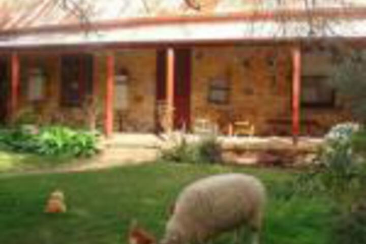 Mount Barker Springs SA Queensland Tourism