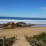 Bellbird Cottage B & B - QLD Tourism 0