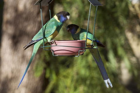 Kathys Place Bed And Breakfast - Queensland Tourism 2
