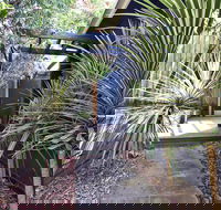 Lornebeach Apartments - QLD Tourism