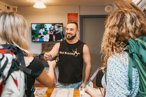Calypso Inn Backpackers Resort Hostel - QLD Tourism 6
