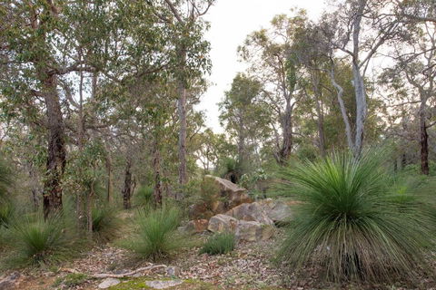 A Hidden Bush Delight - QLD Tourism 6