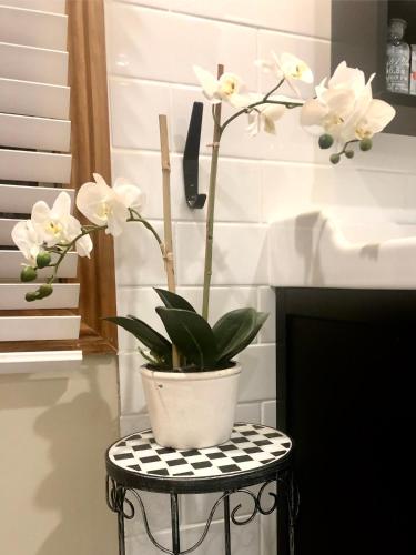 SEAeSCAPE Apollo Bay - QLD Tourism 4