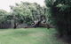 Red Ceder Cottage Great Ocean Road Port Campbell - thumb 5